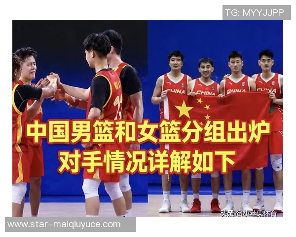 2026年3月份新闻成都篮球队实力深度剖析与对手比较的全面解读